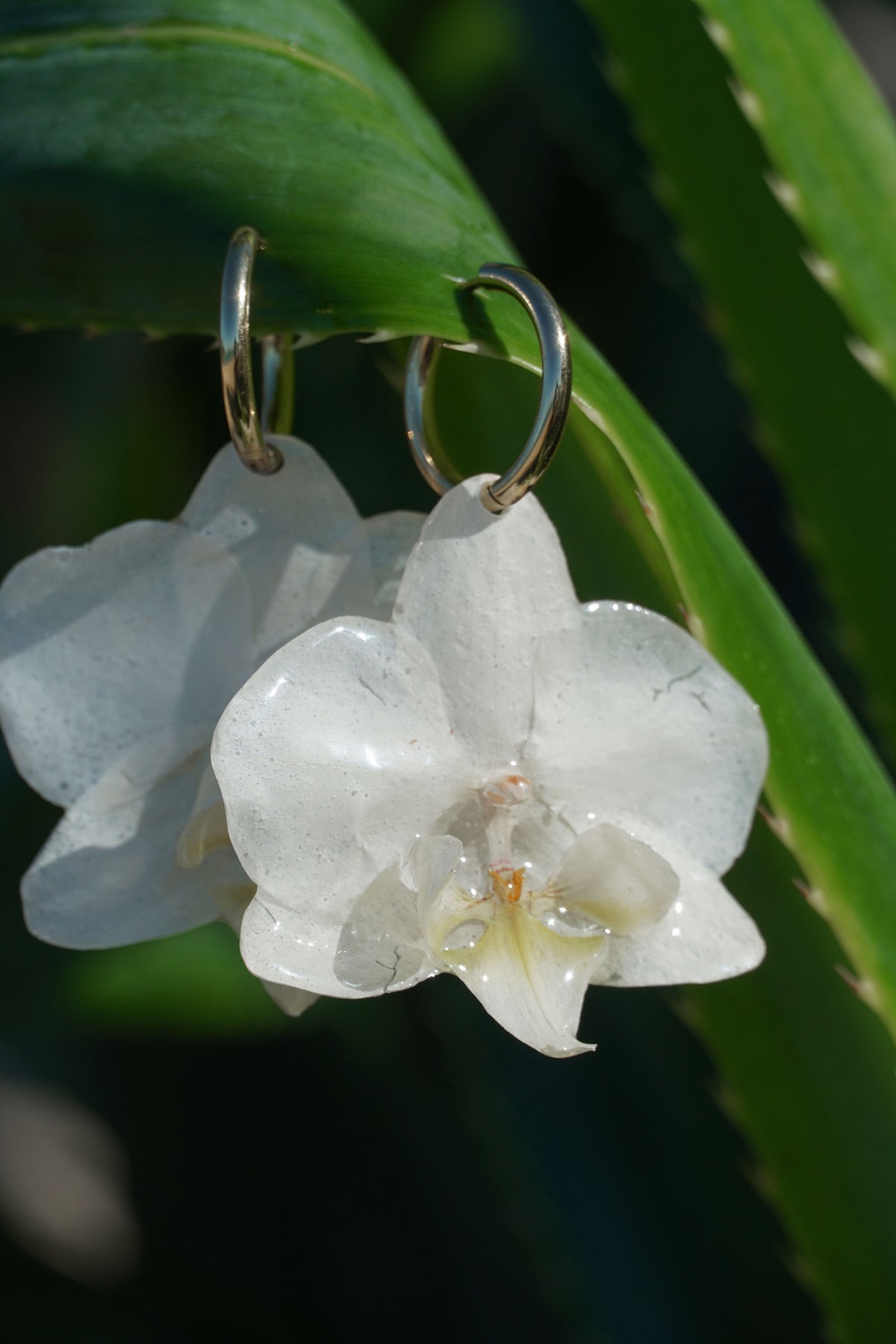 White Orchid Earrings
