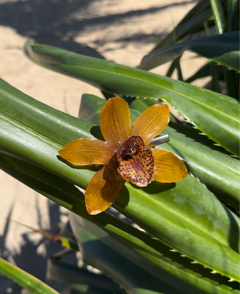 Cymbidium Orchid Hair Clip